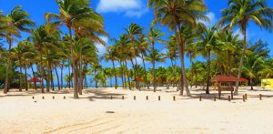 Guadeloupe : comment organiser son voyage ?